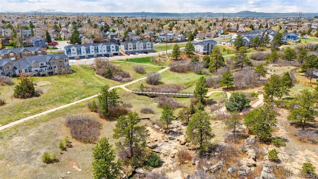 749 Bishop Pine Way, Castle Rock, CO 80104 - photo 35