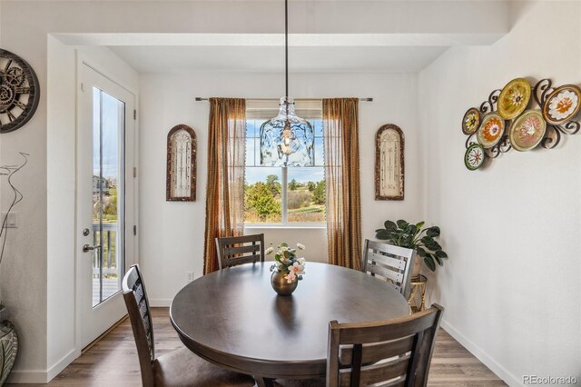 749 Bishop Pine Way, Castle Rock, CO 80104 - photo 19