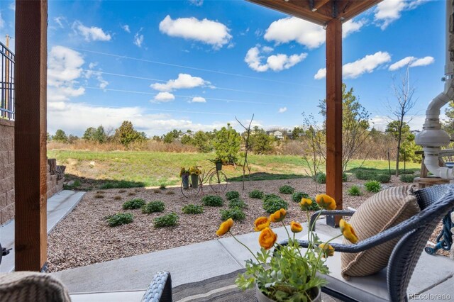 749 Bishop Pine Way, Castle Rock, CO 80104 - photo 32