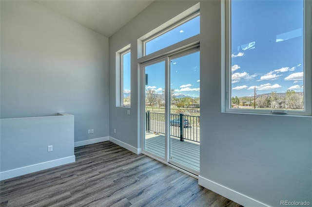 interior space featuring hardwood / wood-style flooring and a healthy amount of sunlight