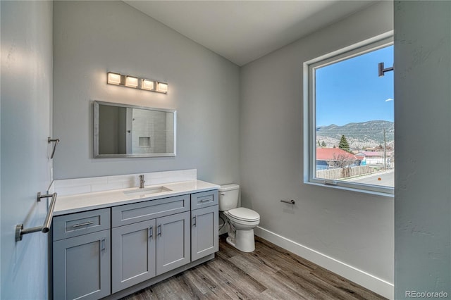 bathroom with hardwood / wood-style floors, a mountain view, toilet, and vanity