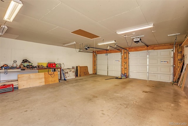 garage with a garage door opener