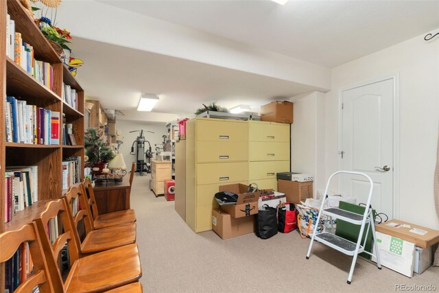 3806 S Dawson St, Aurora, CO 80014 - view of storage area