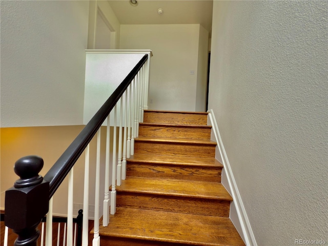 10337 Hunterwood Way, Highlands Ranch, CO 80130 - photo 14