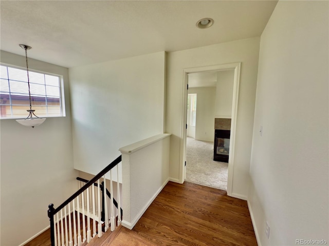 10337 Hunterwood Way, Highlands Ranch, CO 80130 - photo 15
