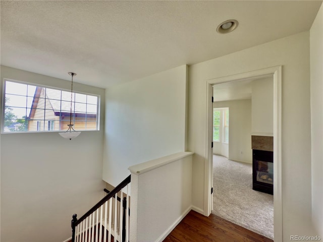 10337 Hunterwood Way, Highlands Ranch, CO 80130 - photo 17