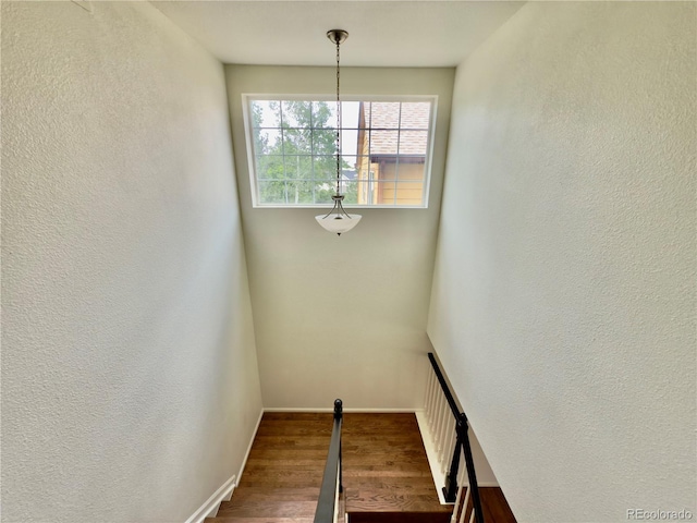 10337 Hunterwood Way, Highlands Ranch, CO 80130 - photo 18