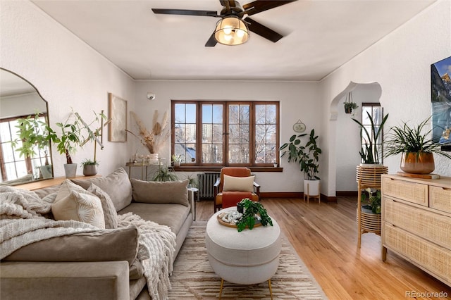 living room with ceiling fan, radiator heating unit, and light hardwood / wood-style floors