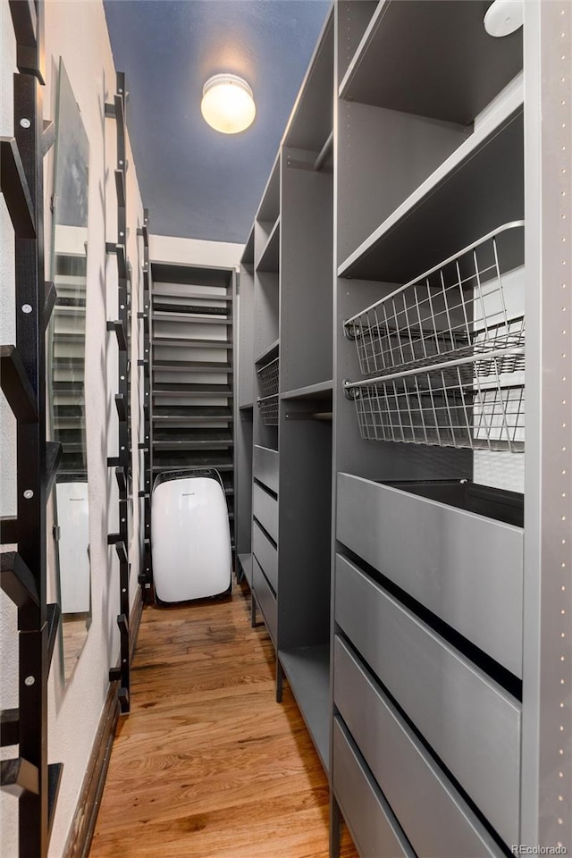 walk in closet with wood-type flooring