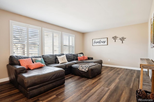 living room featuring dark wood-type flooring