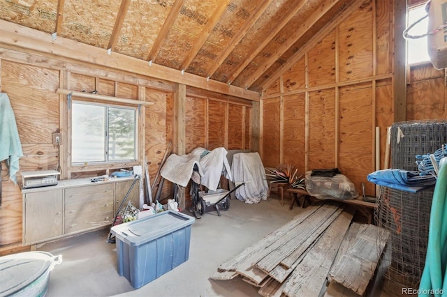 miscellaneous room with vaulted ceiling