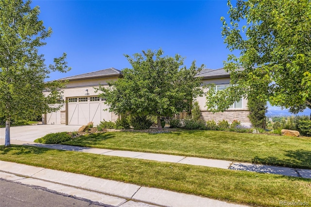 15975 Quandary Loop, Broomfield, CO 80023 - photo 3