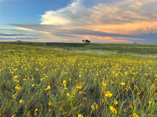 18320 Falcon Hwy, Peyton, CO 80831 - photo 41