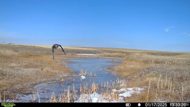 18320 Falcon Hwy, Peyton, CO 80831 - photo 44