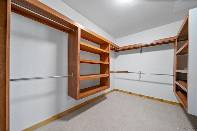 6519 Jungfrau Way, Evergreen, CO 80439 - photo 35