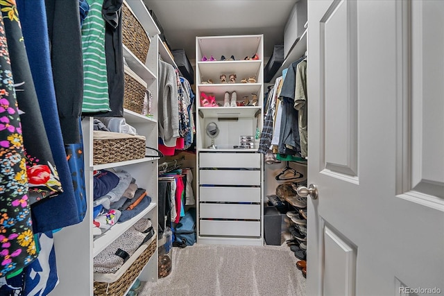 23831 Eagle Bend Ln, Parker, CO 80138 - walk in closet with carpet