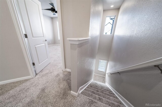 1983 S Poplar Ct, Denver, CO 80224 - stairway featuring carpet flooring, healthy amount of natural light, a textured wall, and a ceiling fan