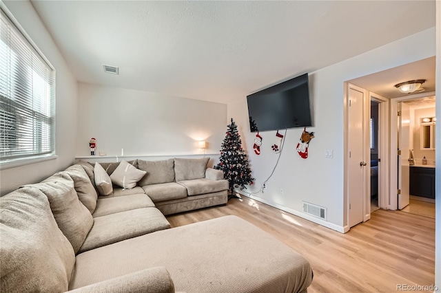 living room featuring light hardwood / wood-style flooring