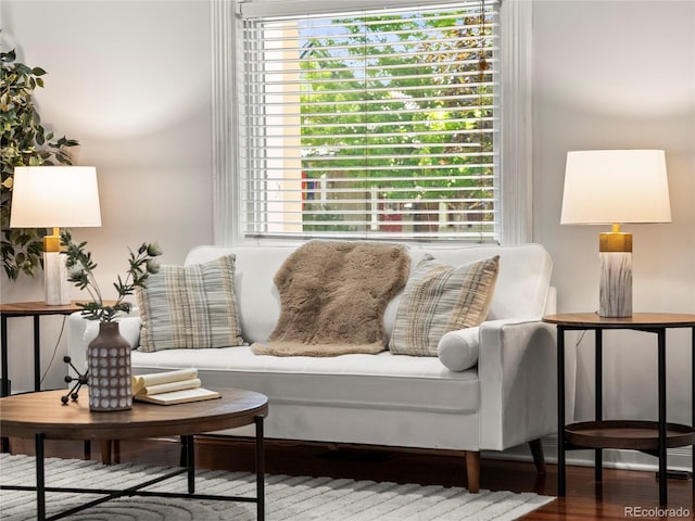 437 S Grant St, Denver, CO 80209 - living area with plenty of natural light and wood finished floors