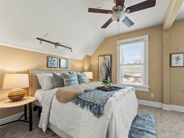 437 S Grant St, Denver, CO 80209 - bedroom featuring carpet, lofted ceiling, ceiling fan, and track lighting