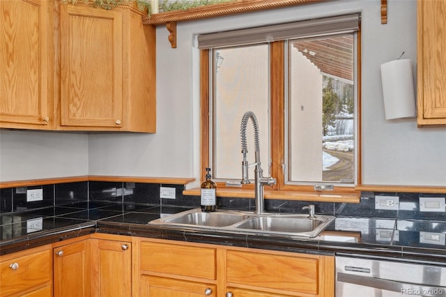 kitchen with dark countertops, a sink, and stainless steel dishwasher