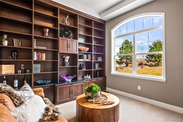 9563 Red Primrose St, Franktown, CO 80116 - living area with light colored carpet and baseboards
