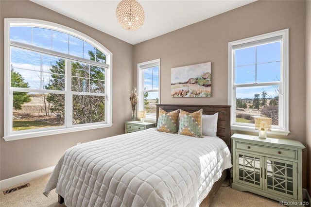 9563 Red Primrose St, Franktown, CO 80116 - carpeted bedroom featuring baseboards and a chandelier