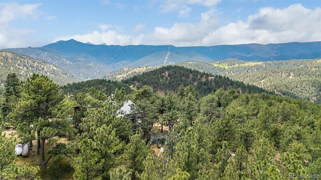 398 Leonards Rd, Boulder, CO 80302 - view of mountain backdrop with a heavily wooded area
