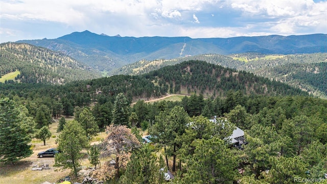 398 Leonards Rd, Boulder, CO 80302 - mountain view with a forest