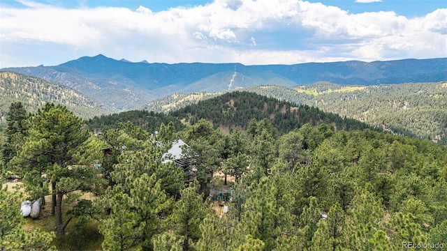 398 Leonards Rd, Boulder, CO 80302 - view of mountain background featuring a heavily wooded area