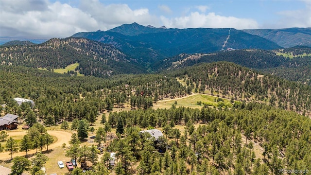 398 Leonards Rd, Boulder, CO 80302 - view of mountain background with a heavily wooded area
