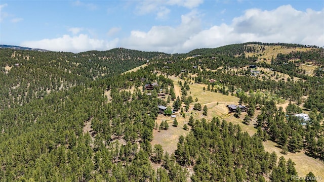 398 Leonards Rd, Boulder, CO 80302 - view of mountain background with a forest