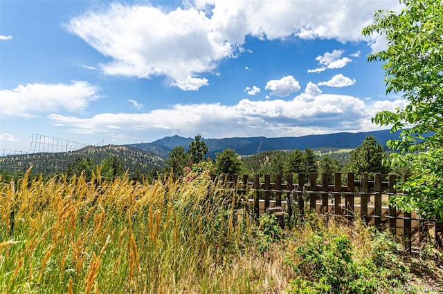 398 Leonards Rd, Boulder, CO 80302 - mountain view