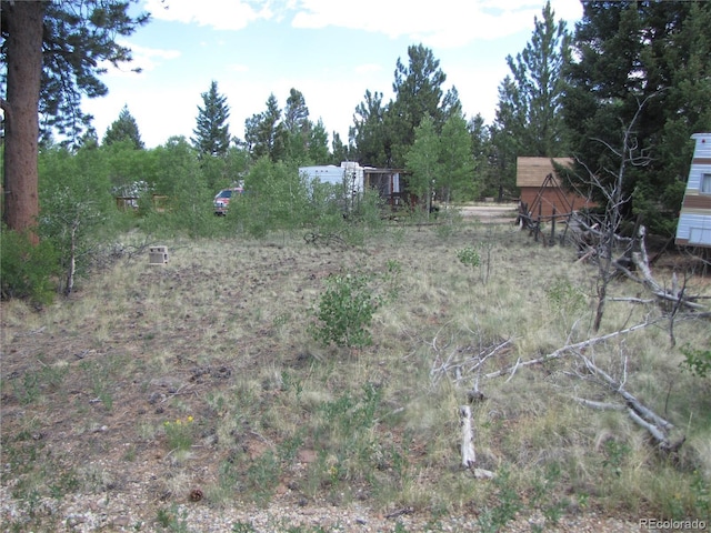 112 Lantern Loop, Hartsel, CO 80449 - photo 4