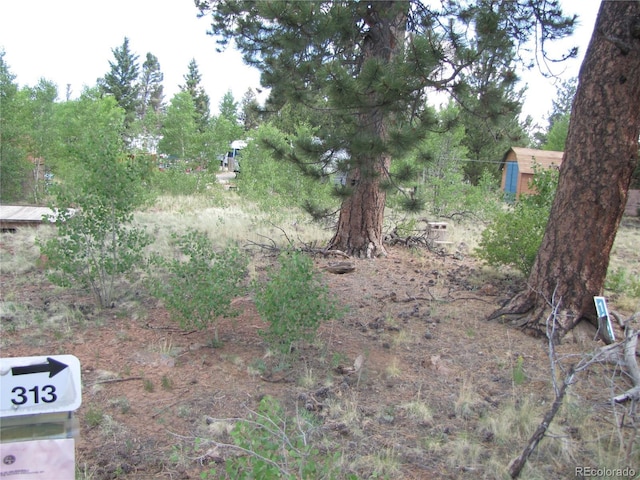 112 Lantern Loop, Hartsel, CO 80449 - photo 5