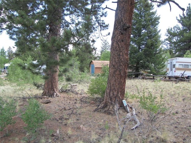 112 Lantern Loop, Hartsel, CO 80449 - photo 6