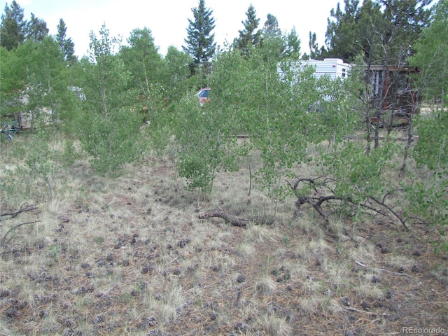 112 Lantern Loop, Hartsel, CO 80449 - photo 8