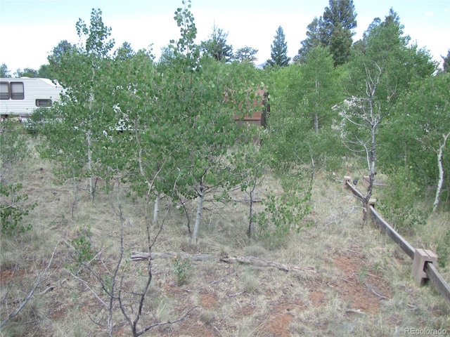 112 Lantern Loop, Hartsel, CO 80449 - photo 10