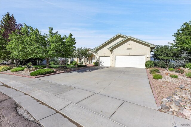 14750 Pristine Dr, Colorado Springs, CO 80921 - photo 49