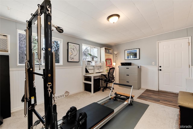 exercise area featuring carpet flooring and wainscoting