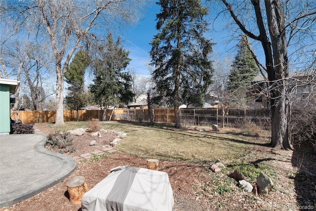 view of yard featuring a fenced backyard