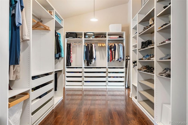 spacious closet featuring dark wood-type flooring and lofted ceiling