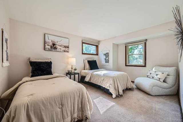4878 W 98th Ave, Westminster, CO 80031 - bedroom with carpet and multiple windows