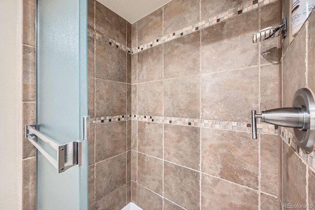 4878 W 98th Ave, Westminster, CO 80031 - bathroom with a stall shower