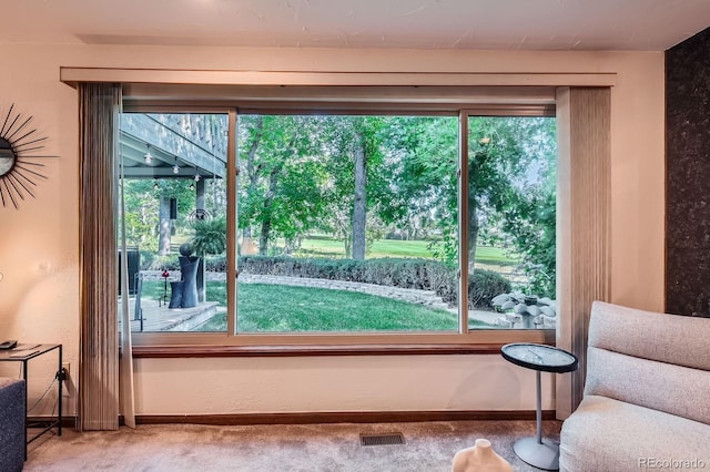 4878 W 98th Ave, Westminster, CO 80031 - sitting room with carpet floors and healthy amount of natural light