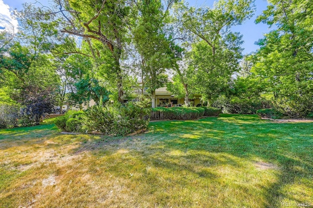 4878 W 98th Ave, Westminster, CO 80031 - view of green lawn