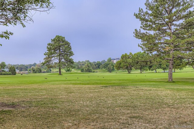 4878 W 98th Ave, Westminster, CO 80031 - photo 46