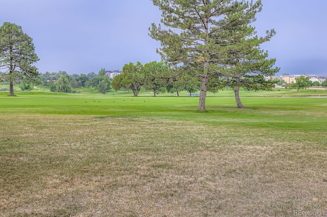 4878 W 98th Ave, Westminster, CO 80031 - photo 45