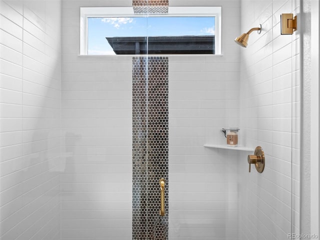 room details with a shower with door