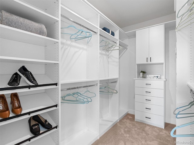 spacious closet featuring light colored carpet